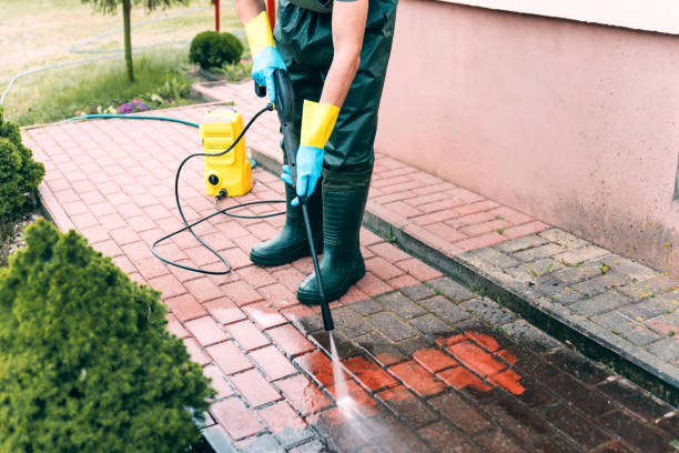 Animal Enclosure Cleaning in Winter Park, FL